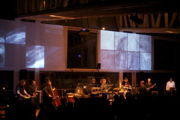 TREE - The Great Soundscape Session - Image 2