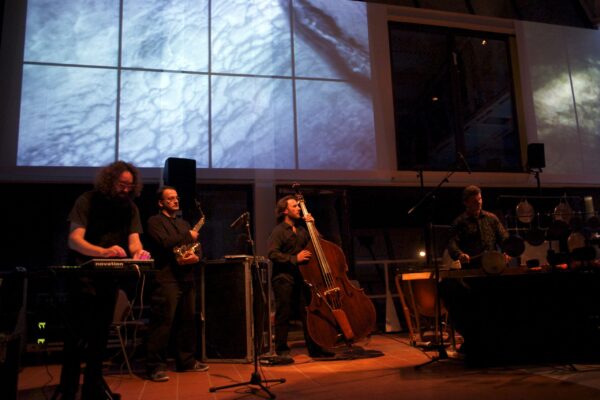 TREE - The Great Soundscape Session - Image 4