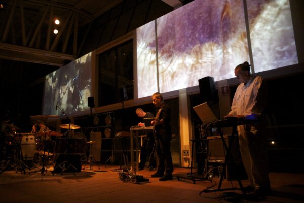 TREE - The Great Soundscape Session - Image 5