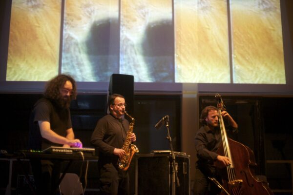 TREE - The Great Soundscape Session - Image 8
